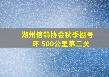 湖州信鸽协会秋季棚号环 500公里第二关